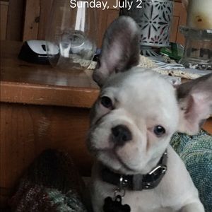 Meet your Posher, Stephen