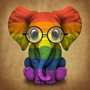 Meet your Posher, Araceli