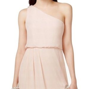 Adrianna Papell Pink Chiffon Blouson Dress NWT
