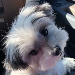 Meet your Posher, Tanya