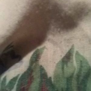 Meet your Posher, Donte