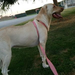 Meet your Posher, Katelyn