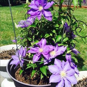 Meet your Posher, Jasmine