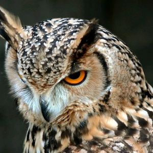 Meet your Posher, Sergio