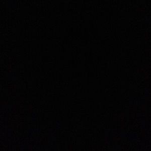 Meet your Posher, Charlie