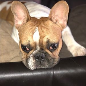 Meet your Posher, Justin