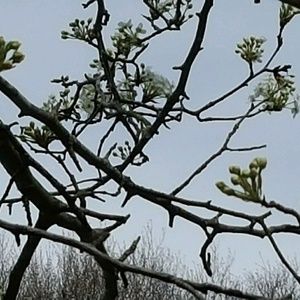 Meet your Posher, Del