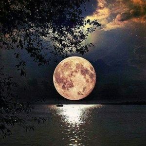 Meet your Posher, Gail