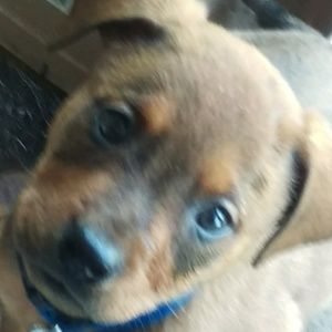 Meet your Posher, Greg