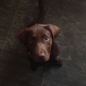 Meet your Posher, Kolby