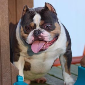 Meet your Posher, Mark