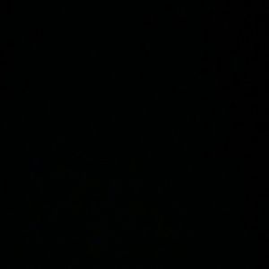 Meet your Posher, Tyrese