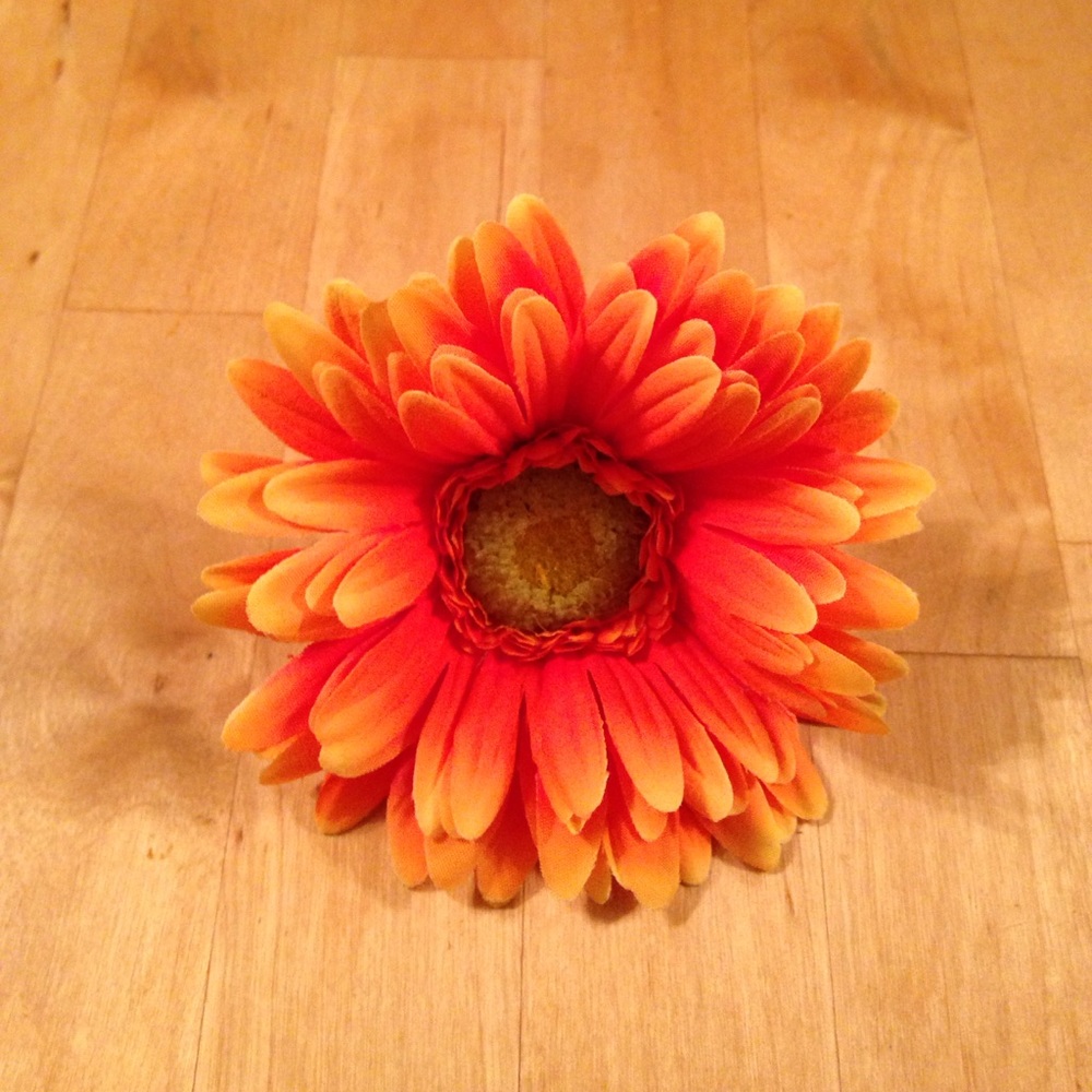 Meet your Posher, Miss Sassypants