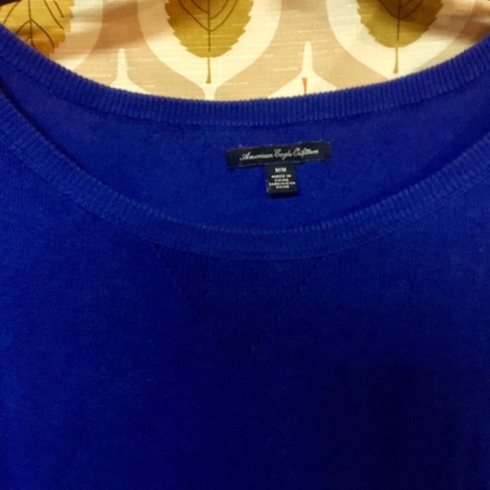 Royal blue sweater AEO size med