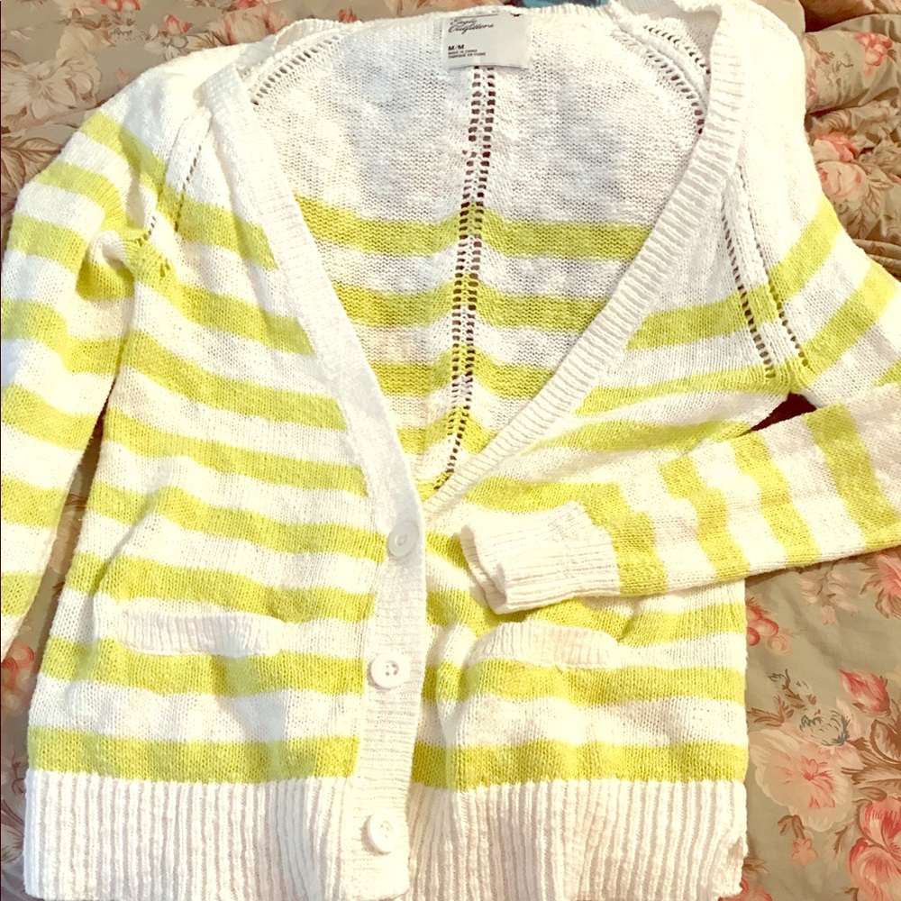 Striped American eagle sweater