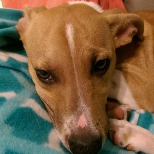 Meet your Posher, Theresa