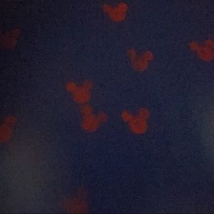 Meet your Posher, Tamia