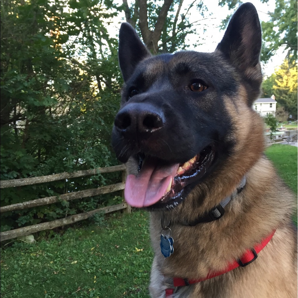 Meet your Posher, Cheyenne