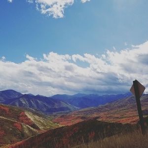 Meet your Posher, Jackson