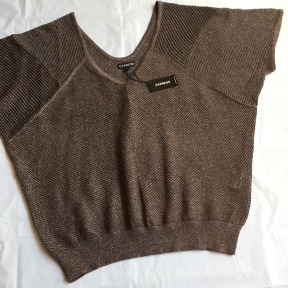 Express Sweaters - NEW Express Brown Metallic Sweater