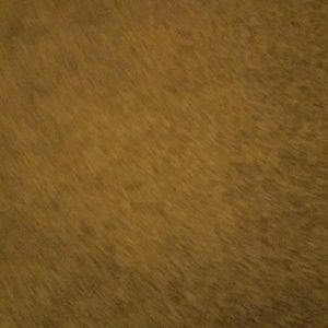 Meet your Posher, Basil