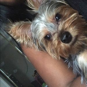 Meet your Posher, Mykaela