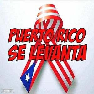 Meet your Posher, Lucy