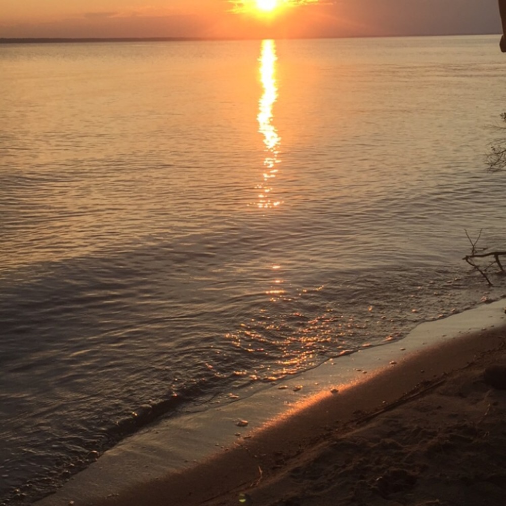 Meet your Posher, Brook