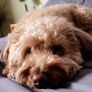 Meet your Posher, Michele