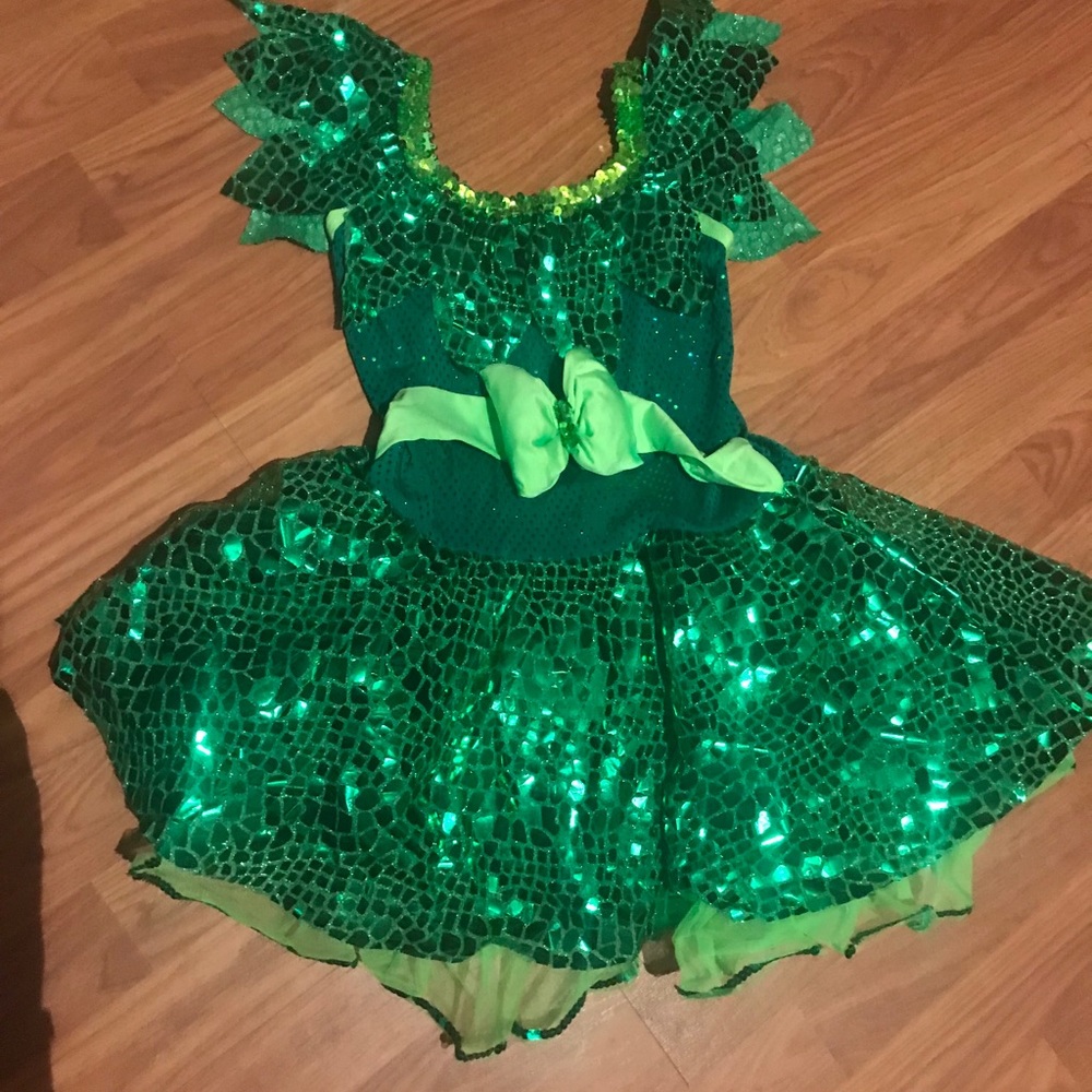 Princess and the Frog Costume