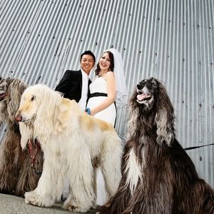 Meet your Posher, Steffanie