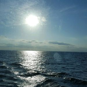 Meet your Posher, Rhnee