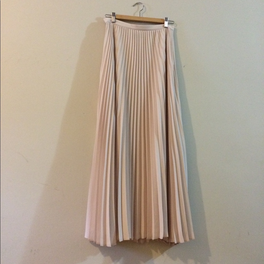 Banana Republic Pleated Maxi Skirt