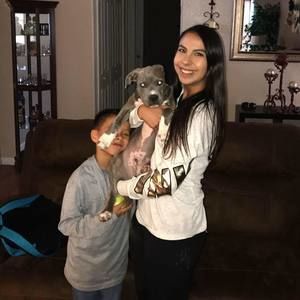 Meet your Posher, Samantha