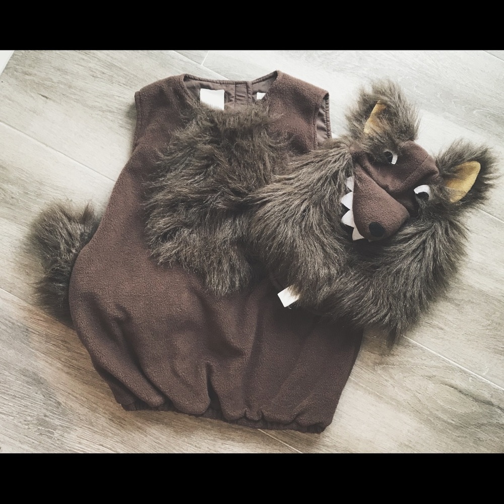 Fox Halloween Costume