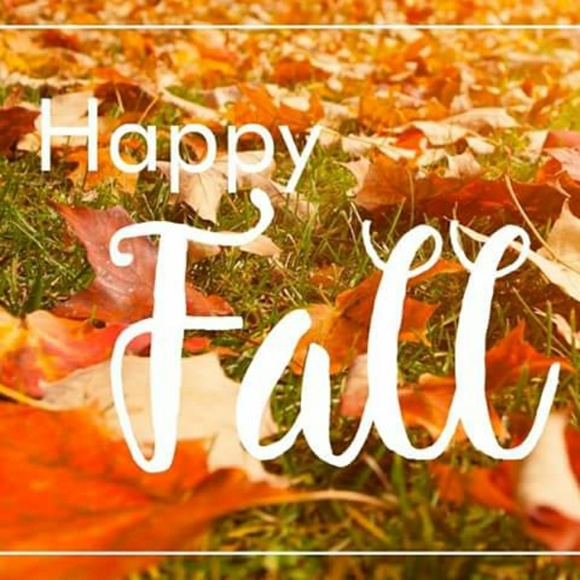 Meet your Posher, Daphne - Picture 3 of 3