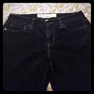 Ann taylor loft cordoroy pants