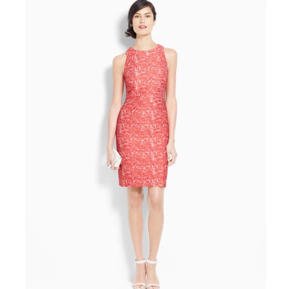 Ann Taylor Dresses & Skirts - Ann Taylor Jacquard Sheath Dress.