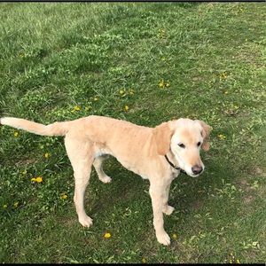 Meet your Posher, Joanne