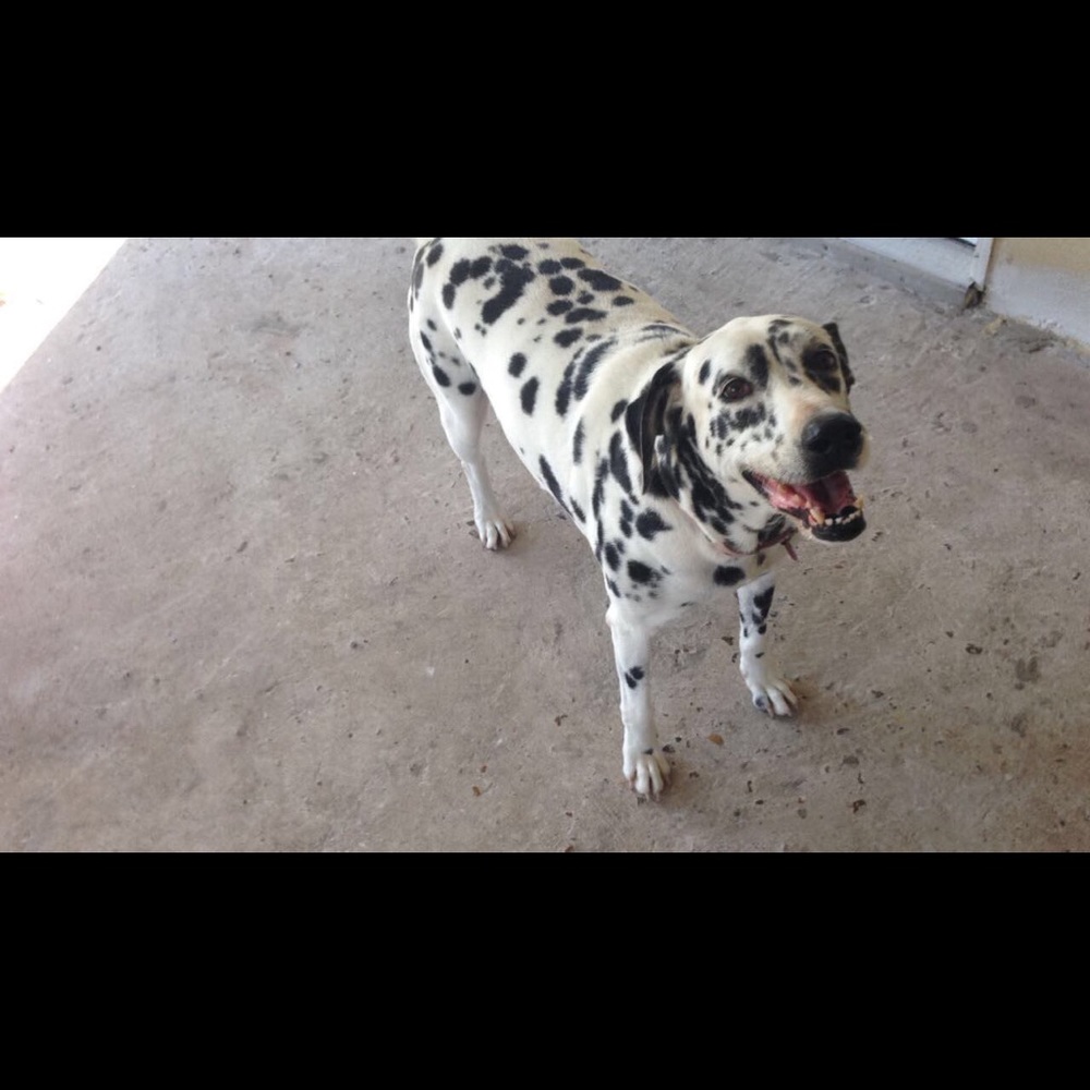 Meet your Posher, Mariveva