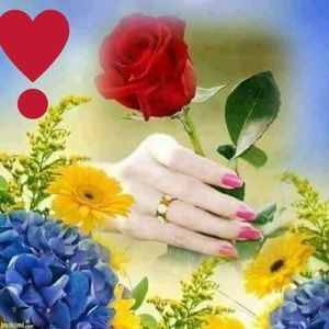 Meet your Posher, Trudy