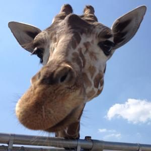 Meet your Posher, Kanita