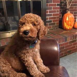 Meet your Posher, Cathie