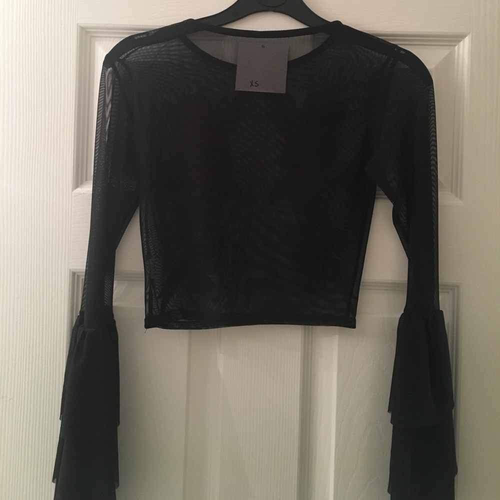 Rosey Mesh Crop - Picture 2 of 2