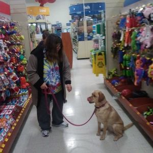 Meet your Posher, Tammy