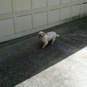 Meet your Posher, Ursula