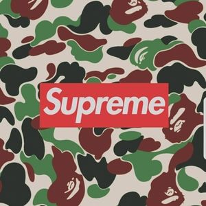 Meet your Posher, Zander