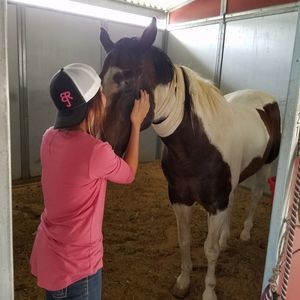 Meet your Posher, Brooke