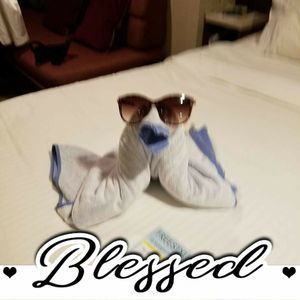 Meet your Posher, Annie