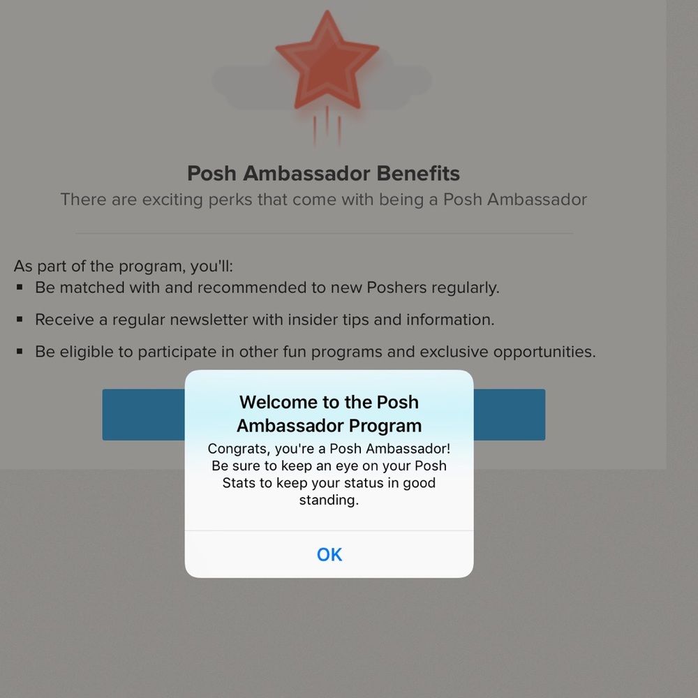🎖Poshmark Ambassador🎖Suggested User 🎖 - Picture 5 of 7